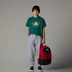 Niños The North Face Camisetas|Camisetas Y Sujetadores<Camiseta Holgada Con Estampado Gráfico Varsity Para Jóvenes