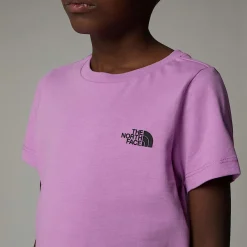 Niños The North Face Niños Pequeños (2-7 Años)<Camiseta Redbox Para Niños