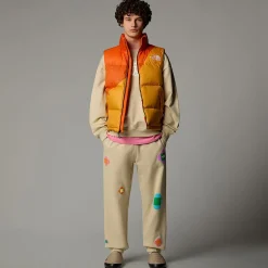 Mujer/Hombre The North Face Chalecos|Chalecos<Chaleco Acolchado De Plumón TNF X Yinka Ilori Unisex