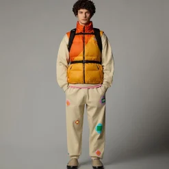 Mujer/Hombre The North Face Chalecos|Chalecos<Chaleco Acolchado De Plumón TNF X Yinka Ilori Unisex
