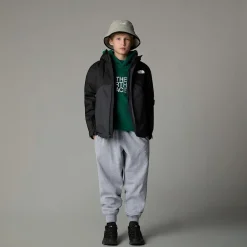 Niños The North Face Abrigos & Chaquetas|Chaquetas Impermeables<Chaqueta 3 En 1 Triclimate Con Aislamiento Térmico Sintético Para Jóvenes