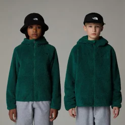 Niños The North Face Forros Polares & Sudaderas<Chaqueta Con Capucha Y Cremallera Integral Campshire Para Jóvenes
