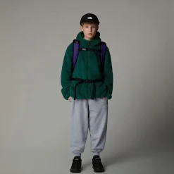 Niños The North Face Forros Polares & Sudaderas<Chaqueta Con Capucha Y Cremallera Integral Campshire Para Jóvenes