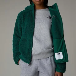 Niños The North Face Forros Polares & Sudaderas<Chaqueta Con Capucha Y Cremallera Integral Campshire Para Jóvenes