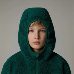 Niños The North Face Forros Polares & Sudaderas<Chaqueta Con Capucha Y Cremallera Integral Campshire Para Jóvenes