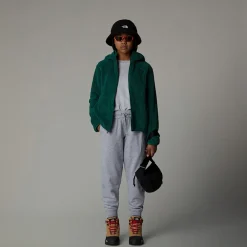 Niños The North Face Forros Polares & Sudaderas<Chaqueta Con Capucha Y Cremallera Integral Campshire Para Jóvenes