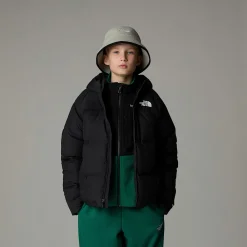 Niños The North Face Abrigos & Chaquetas<Chaqueta De Plumón Con Capucha North Para Niño