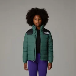 Niños The North Face Abrigos & Chaquetas|Abrigos & Chaquetas<Chaqueta De Plumón Massif Para Jóvenes