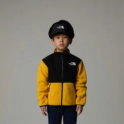 Niños The North Face Niños Pequeños (2-7 Años)<Chaqueta Denali Para Niños