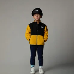 Niños The North Face Niños Pequeños (2-7 Años)<Chaqueta Denali Para Niños