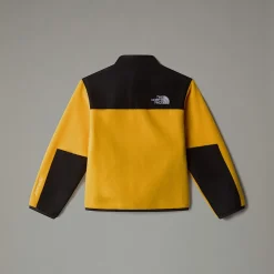 Niños The North Face Niños Pequeños (2-7 Años)<Chaqueta Denali Para Niños