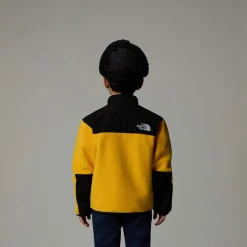 Niños The North Face Niños Pequeños (2-7 Años)<Chaqueta Denali Para Niños