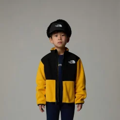 Niños The North Face Niños Pequeños (2-7 Años)<Chaqueta Denali Para Niños