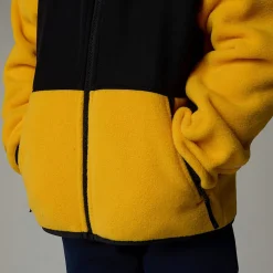 Niños The North Face Niños Pequeños (2-7 Años)<Chaqueta Denali Para Niños