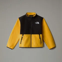 Niños The North Face Niños Pequeños (2-7 Años)<Chaqueta Denali Para Niños