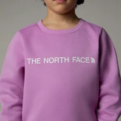 Niños The North Face Niños Pequeños (2-7 Años)<Conjunto De Poliéster Para Niños