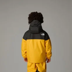 Niños The North Face Niños Pequeños (2-7 Años)<Conjunto Impermeable De Invierno Para Niños