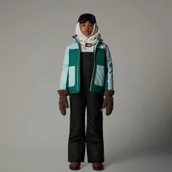 Niños The North Face Pantalones|Pantalones<Peto Con Aislamiento Térmico Freedom Para Jóvenes