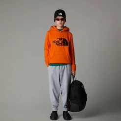 Niños The North Face Forros Polares & Sudaderas<Sudadera Con Capucha Drew Peak Para Niño