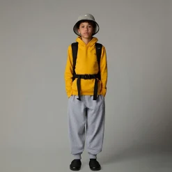 Niños The North Face Forros Polares & Sudaderas<Sudadera Con Capucha Redbox Para Jóvenes