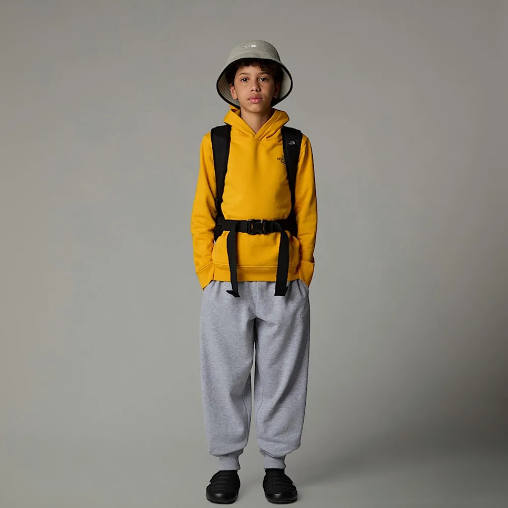 Niños The North Face Forros Polares & Sudaderas<Sudadera Con Capucha Redbox Para Jóvenes