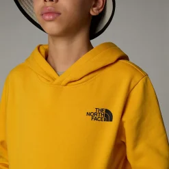 Niños The North Face Forros Polares & Sudaderas<Sudadera Con Capucha Redbox Para Jóvenes