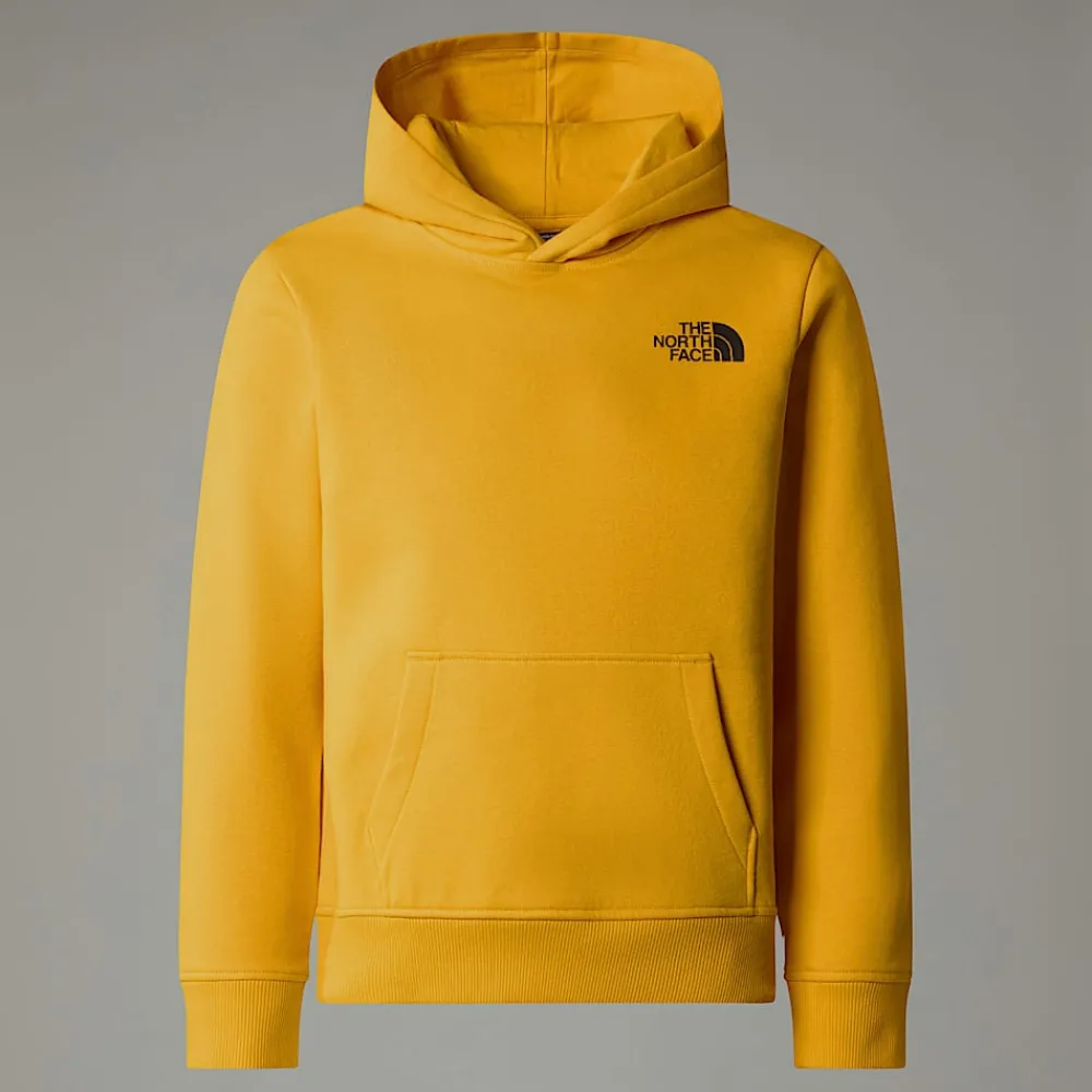 Niños The North Face Forros Polares & Sudaderas<Sudadera Con Capucha Redbox Para Jóvenes