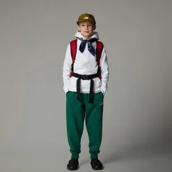 Niños The North Face Forros Polares & Sudaderas<Sudadera Con Capucha Redbox Para Jóvenes