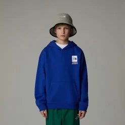 Niños The North Face Forros Polares & Sudaderas<Sudadera Holgada Con Capucha Y Estampado Gráfico Coordinates Para Niño