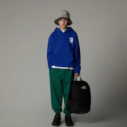 Niños The North Face Forros Polares & Sudaderas<Sudadera Holgada Con Capucha Y Estampado Gráfico Coordinates Para Niño