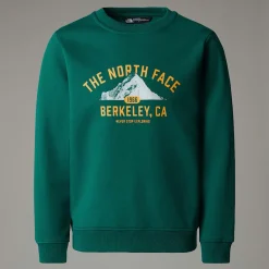 Niños The North Face Forros Polares & Sudaderas|Forros Polares & Sudaderas<Sudadera Holgada Con Estampado Gráfico Varsity Para Jóvenes