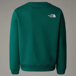 Niños The North Face Forros Polares & Sudaderas|Forros Polares & Sudaderas<Sudadera Holgada Con Estampado Gráfico Varsity Para Jóvenes